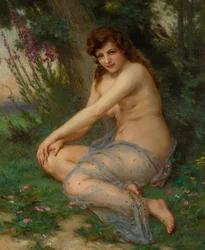 In the Forest